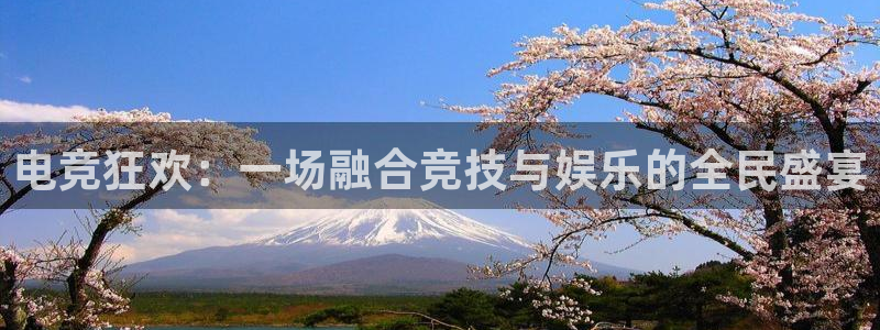 易游电竞